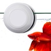 JOR Betta Tank Cleaner Magnet, Nano & Small Fish Tank