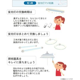 Panasonic Twin 2 Fluorescent Lightbulb, 4-Piece Bundled Bridge