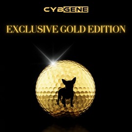 CybGene Chihuahua Gifts Golf Balls Set, Golf Gifts, Cool Accessories for Golfers, Chihuahua Dog Gifts for Golf Lovers, Perfect for Christmas & Birthday