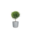 Scheurich Linetto 30 Stony Grey Round Planter/Planter/Planter, Made with Recycled