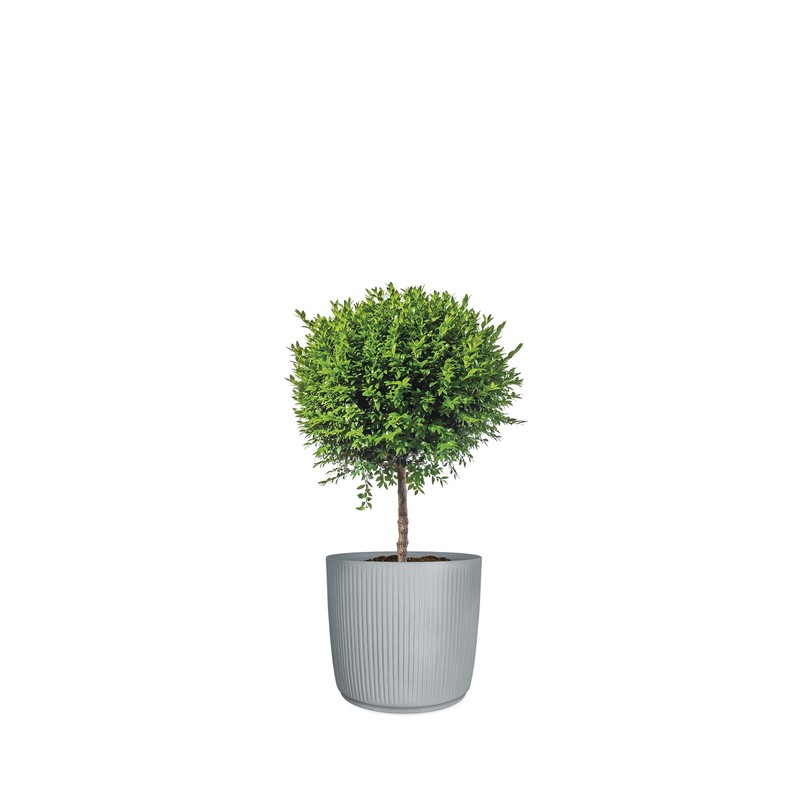 Scheurich Linetto 30 Stony Grey Round Planter/Planter/Planter, Made with Recycled