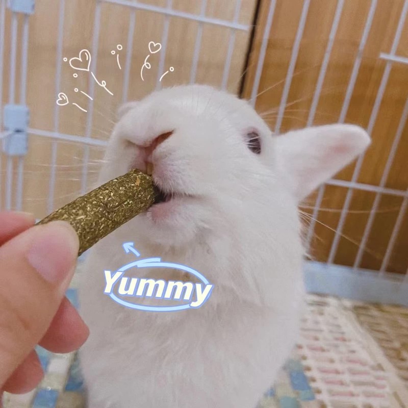 Grddaef 20 PCS Bunny Chew Toys for Teeth, Natural Rabbit