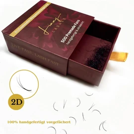 2D Eyelash Fans, Full Black Classic 1:1 Lash Extensions, C CC D Curl, Lengths 8-13 mm, Pack of 500 Premade Fans (CC-Curl, 10 mm)