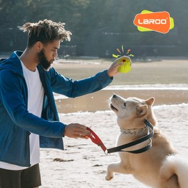 LaRoo Dog Toy, Sounding Toy, Chew Toy, Natural Lava Toothpaste, Durable, Throw