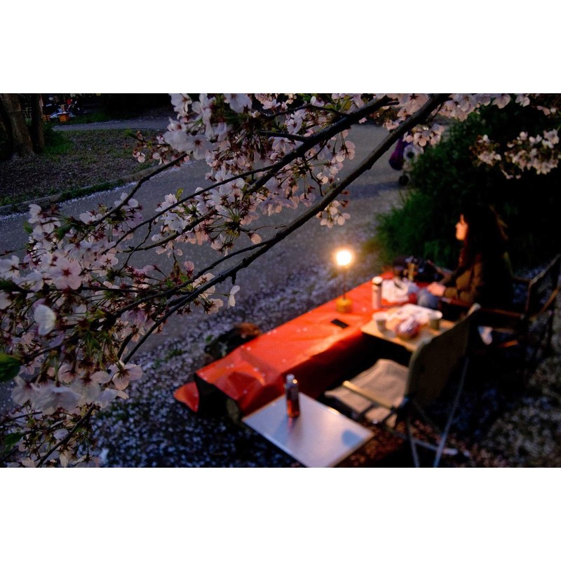 CAMPINGMOON 9'' Length Extension Pole Rod for Camping Lantern Z26