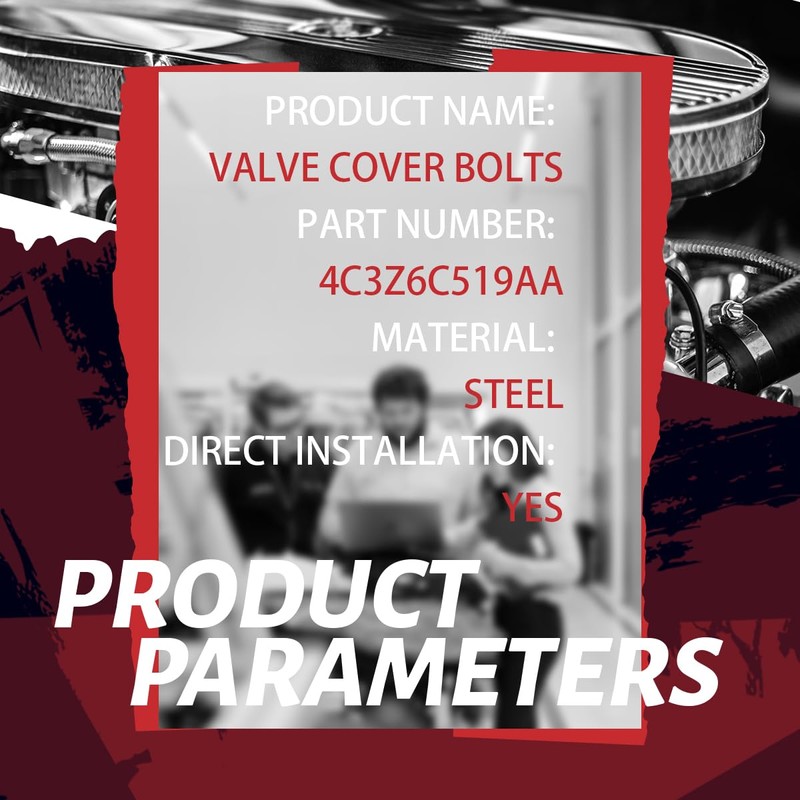 Fippeddly Valve Cover Bolt Complete Set one Side Long and
