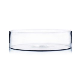 WGV Cylinder Vase, Open Width 15", Height 4", Clear Flat Pan Style Container, Planter Terrarium, Floral Centerpiece for Wedding Party Event, Home Office Decor, 1 Piece