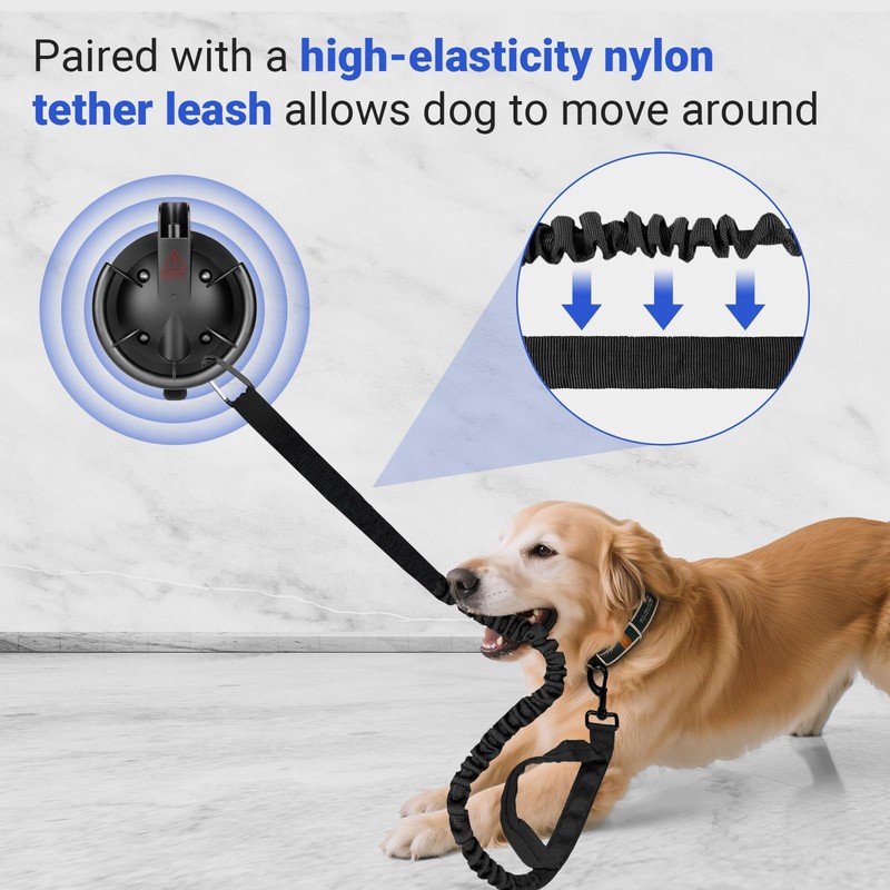 Dog Bathing Suction Cup with Tether, High Elasticity Nylon Dog