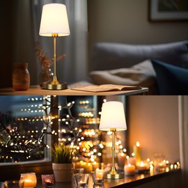 Rechargeable Battery Powered Table Lamp, Wireless LED Lamps, Cordless Touch Lamps, Stepless Dimmable Bedside Lamps, Night Lamp for Bedroom, Dinning Room, Kitchen Decor, Office (Bronze)