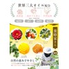 Paw Cream 12g with World's Top 3 Oils, Beeswax, Safe