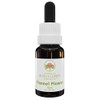 Australian Bush Flower Essences Flannel Flower 15ml