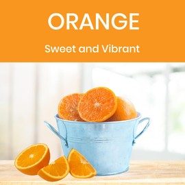 Absolute Green Orange All-Purpose Cleaner, Natural, Non-Toxic, Home + Kitchen Spray, Use on Counters, Stainless, Fixtures and more. Safe Around Kids & Pets (25 oz)