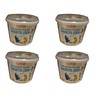 Shirakiku Udon Cup Nama Sanukiya, 7.76-Ounce Units (Pack of 6)