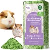 mini&moe Guinea Pigs Bedding 50L After Expandsion: Odor Control and