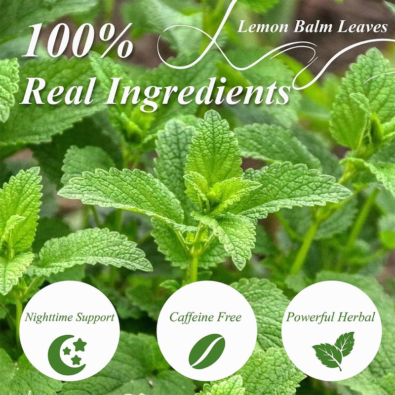 WT WEETEE Lemon Balm Tea Bags, 100 Count Pure Lemon