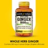 MASON NATURAL Whole Herb Ginger 500 mg, 2 Month Supply,