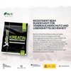 Xellerate Creatin Monohydrat Pulver 500g - 166 Anwendungen - Kreatin