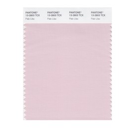 PANTONE Smart 13-2803X Color Swatch Card, Pale Lilac