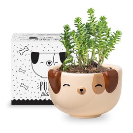 Apa la Papa, Dog Animal Ceramic Planter, 5 x 5 x 4 in., Exclusive Ceramic Animal Planters for Indoor and Outdoors, Cute Hand Painted Designed in Argentina, Convenient Drain Hole