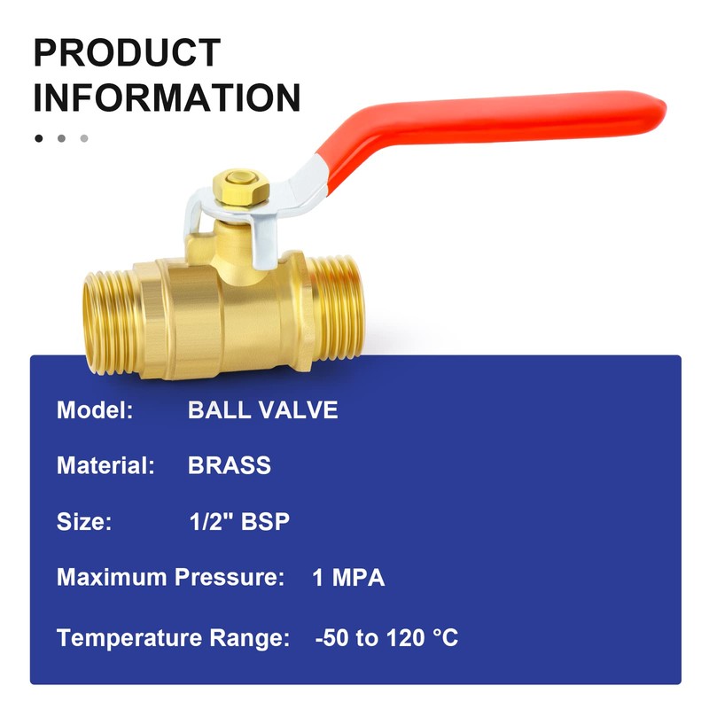 ERGAOBOY 2 x 1/2 inch BSP male thread on brass
