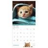 2026 Kittens Mini Calendar