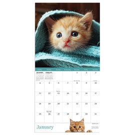 2026 Kittens Mini Calendar