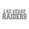 LAS VEGAS RAIDERS VINYL WINDOW DECAL SILVER 8" X 3.25"  RAIDER FOOTBALL