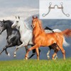 Peakloong Stainless Steel Snaffle Bit Horse Training Equipment for Mouth