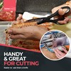 SOL 4-in-1 Multifunctional Kitchen Scissors with Nut Cracker, Bottle Opener,
