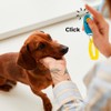 Fancy Pets Clicker con Pulsera de Entrenamiento para Perro