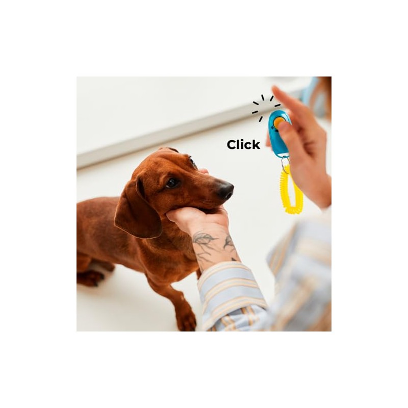 Fancy Pets Clicker con Pulsera de Entrenamiento para Perro
