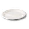 BIOZOYG Disposable Plates, Pack of 50, 2 Chambers, Diameter 22