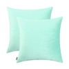 Jeneoo Comfy Soft Thick Velvet Throw Pillow Covers for Sofa