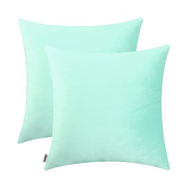 Jeneoo Comfy Soft Thick Velvet Throw Pillow Covers for Sofa Couch, Decorative Solid Square Cushion Cases for Bedroom Car (Mint Green, 16 x 16 Inches, 2 Pieces)