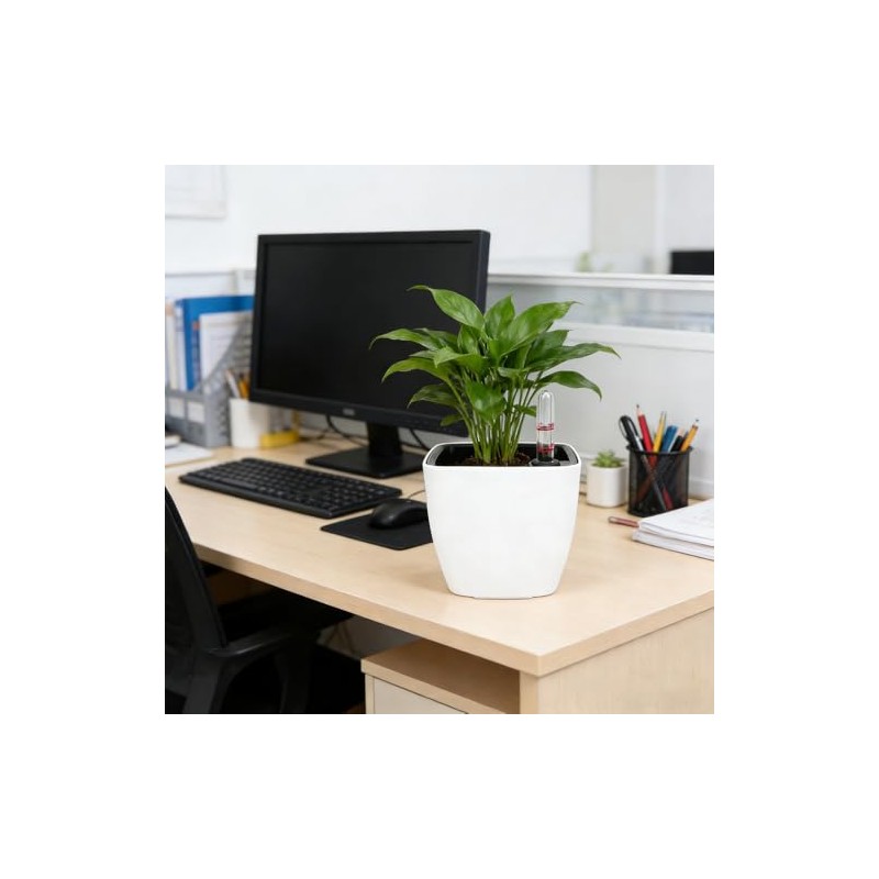 SIBAO 6 Pcs Self Watering Pots with Water Level Indicator,