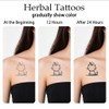 Hana Temporary Tattoos for Women Henna Small Semi-permanent Tattoo