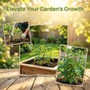4 Pack Garden Tomato Cage for Pots, 18" Metal Tomatoes