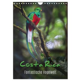 Costa Rica - Fantastische Vogelwelt (Wandkalender 2025 DIN A4 hoch), CALVENDO Monatskalender [Calendar] Kevin Eßer