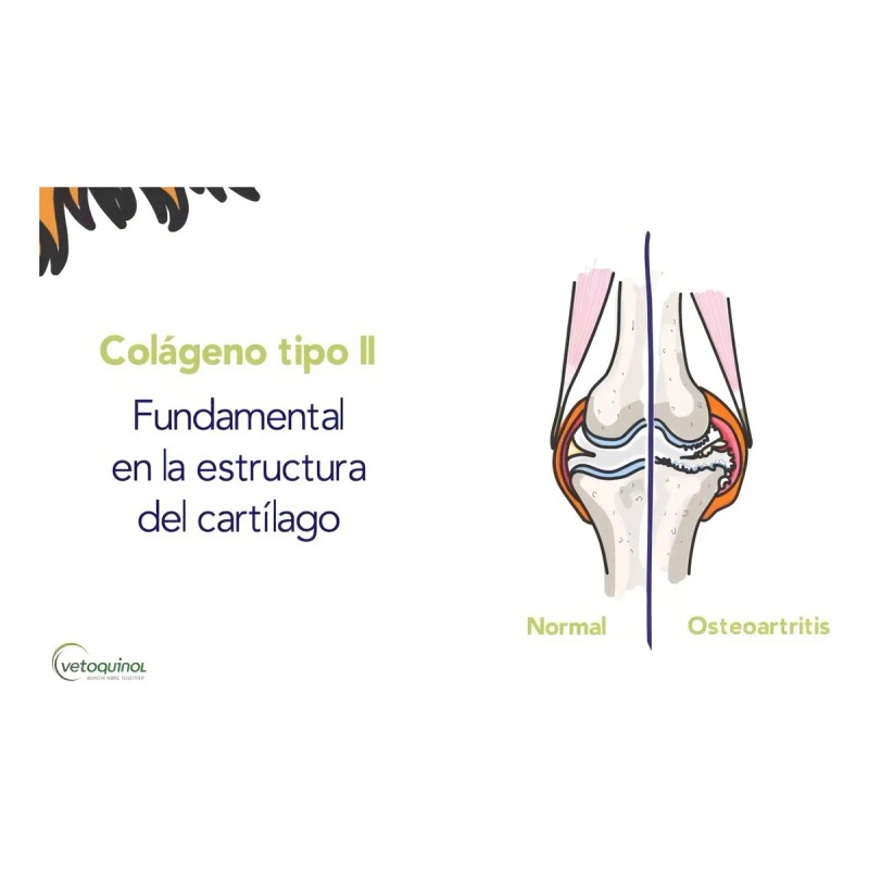 Flexadin Advanced Vetoquinol Premios Masticables Perro/Gato 60 Unidades