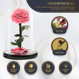 LOVAPPY Forever Preserved Rose - Eternal Rose in Glass Dome - Beauty and The Beast Rose for Mom - Fresh Flowers for Delivery Prime (Pink, 9 Inch)