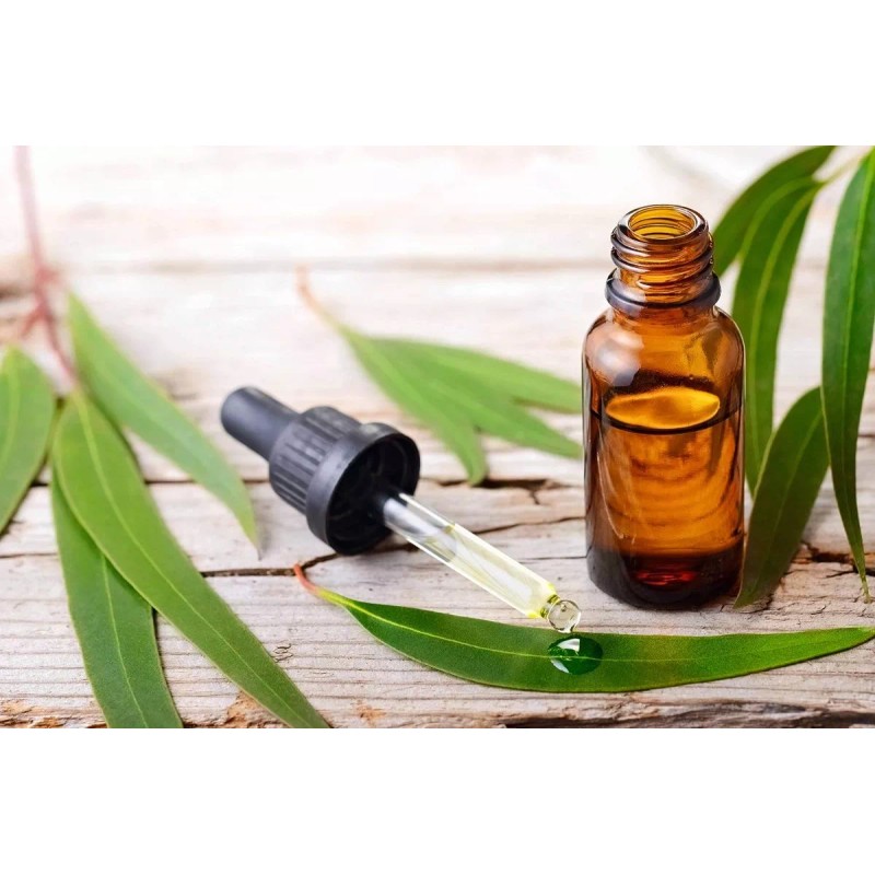 Naturaleza Mexicana Esencia Para Difusor Aroma Eucalipto20ml Naturaleza Mexicana