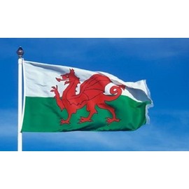 Wales 2x3 2'x3' Country Polyester Flag