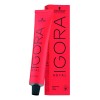 Tinte Igora Royal Schwarzkopf 60ml | Todos Los Tonos 8-46