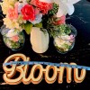 Unbranded Bloom Wooden Springtime Sign Cursive Writing Blush/Light Green Tabletop