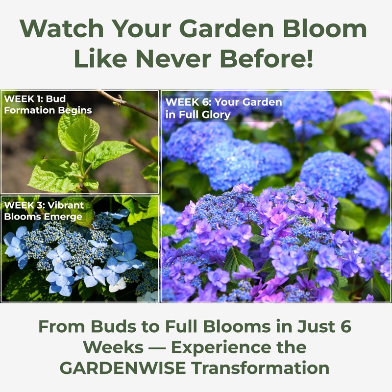 GARDENWISE Slow Release Hydrangea Fertilizer with Iron & Sulfur –