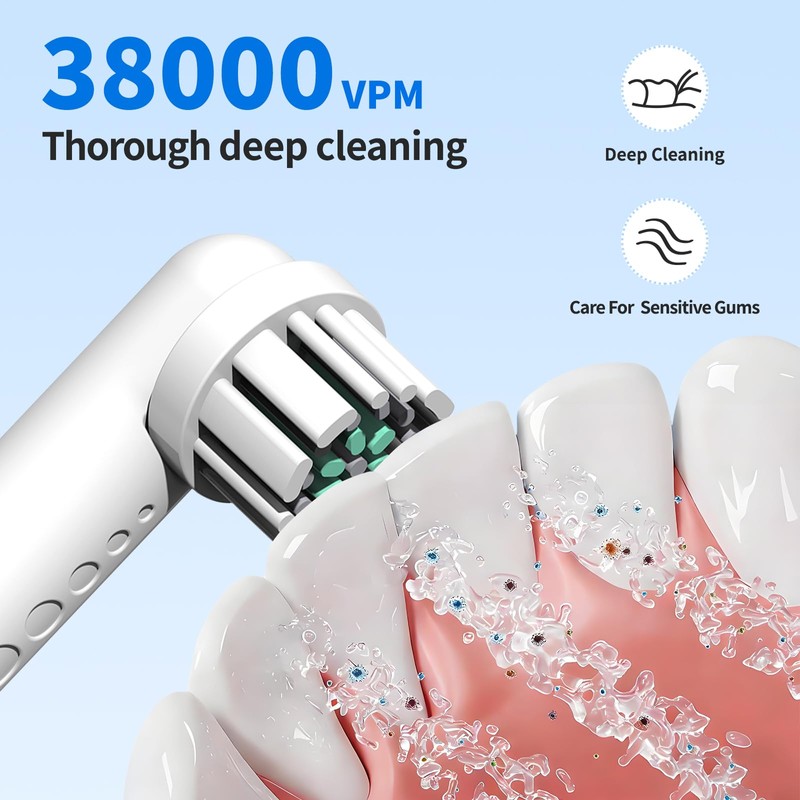 Toothbrush Replacement Heads for Quip 360 Oscillating Electric Toothbrush