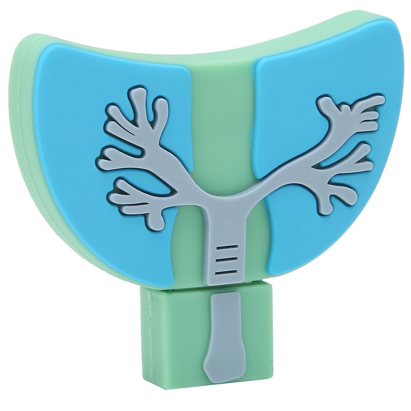 U Disk USB2.0 3 Dimensional Practical Innovative Data Storage Gift