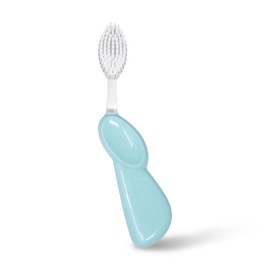 RADIUS Toothbrush Big Brush with Replaceable Brush Head BPA Free ADA Accepted - Right Hand - Pastel Mint Brush with Pastel Mint Case