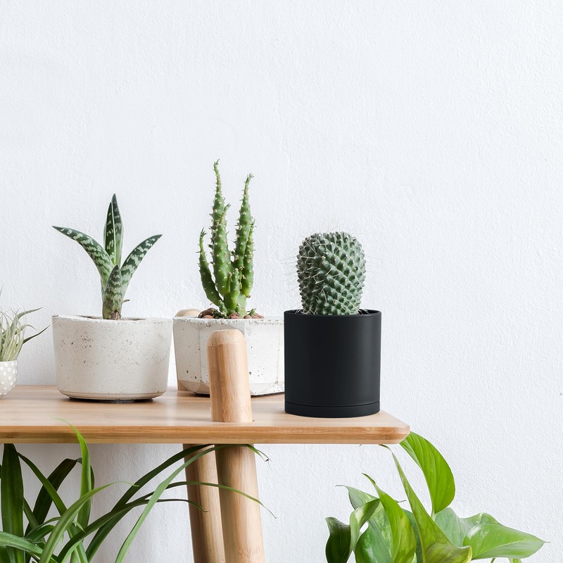 D'vine Dev 6 Pack 4 Inch Modern Plastic Plant Pots,