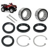 Rear Wheel Bearing & Seal Kit Compatible with Honda Rincon